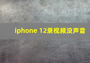 iphone 12录视频没声音